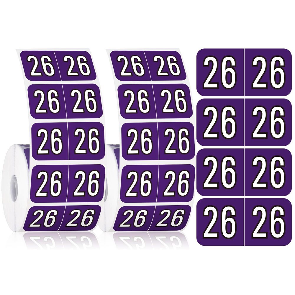 7568 1000 Pieces 2026 Year Stickers File Folder Year Labels Rectangle Coded